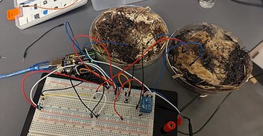 Ученые нашли замену кремнию для чипов прямо под ногами: открытие поразило (фото)