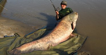 Вытаскивали из воды полтора часа: супруги поймали сома весом 68 килограммов (фото)