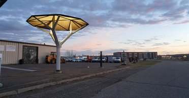 Плоские солнечные панели — пустая трата времени. Чем удивили деревья e-Cacias (фото, видео)