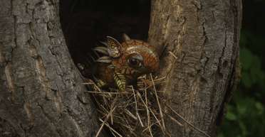 "Тривожна інтимність": фільм "Порцелянова війна" увійшов до топ 10 найкращих документальних стрічок року