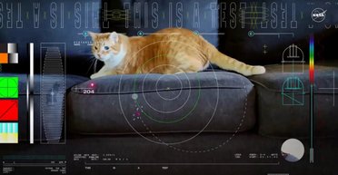 Забавное видео с котом сверхбыстро передали из глубокого космоса: помогли лазеры (видео)