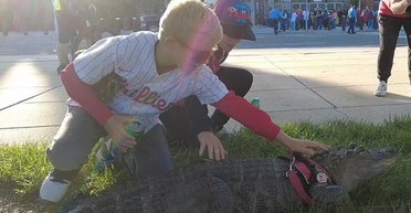 "Він — моя емоційна підтримка": чоловікові з алігатором відмовили у вході на стадіон