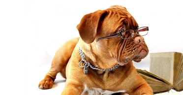 Парад дебютантов. Лучшие книги сентября