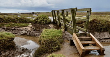 Ходили їхні предки: зруйнований владою "міст фей" двічі "повертався" таємничим чином