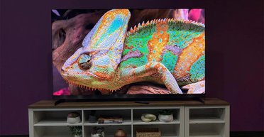 Какой Mini LED телевизор выбрать: эксперт сравнил TCL X11L и Hisense U8QG (фото)
