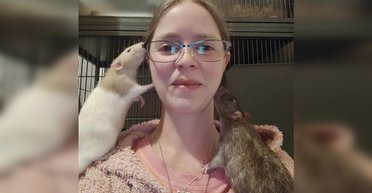 Отдых за 400 гривен: британка открыла "пятизвездочный" отель для грызунов (фото, видео)