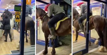 "Всякого набачився, але це щось нове": чоловіки зайшли у магазин разом зі своїми кіньми (фото)