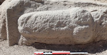 В Испании обнаружили самую большую в мире скульптуру полового члена (фото)