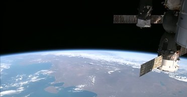 Перший крок до народження дітей у космосі: на МКС уперше виростили ембріони мишей