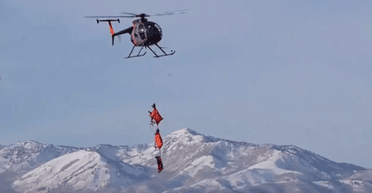 Без саней и Санта-Клауса: в небе заметили летающих оленей (фото, видео)