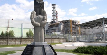 Гуляют там животные. Станет ли Чернобыльская зона заповедником