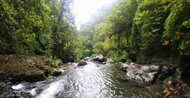 Последний неуправляемый рубеж на Земле: где расположен самый опасный коридор в мире