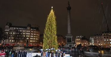 Головну ялинку країни після запалення назвали жахливою кукурудзою і солоним огірком (фото)