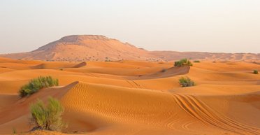 Помогла засуха. Ученые рассказали, почему ислам стал так популярен