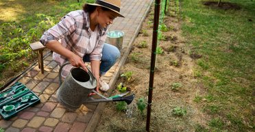 Місячний посівний календар на травень 2025: коли садити і сіяти різні культури