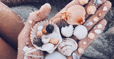 Жінка принесла додому пакет із мушлями: всередині на неї чекав сюрприз (фото)