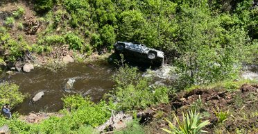 В США собака преодолела более 6 км ради спасения хозяина, попавшего в ДТП (фото)