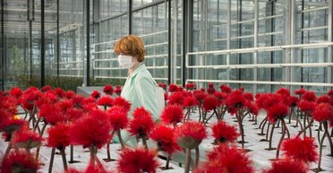 Цветы жизни. Как в фильме "Малыш Джо" нашли еще одну необычную угрозу человечеству (видео)