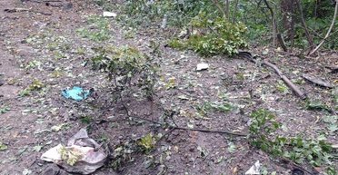 На Харьковщине от противотанковой мины погибла семья военного ВСУ: что известно (фото)