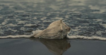 У вас одно новое извещение: ученые нашли неожиданный способ коммуникации племен Чако