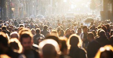 Пять законов дурака: как распознать людей, которые вредят и себе, и окружающим