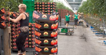 Страна без работников. Почему украинцы массово уезжают работать за границу