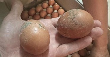 Военный раскритиковал ДОТ за некачественные продукты для армии, — СМИ