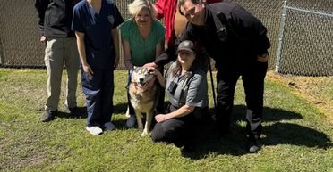 Семья в США чудом воссоединилась с любимцем, который пропал три года назад (фото)