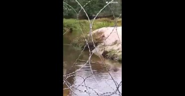 "Help me": украинец бежал в Польшу, а оказался возле Беларуси и насмешил пограничников (видео)