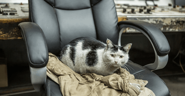 В Черновцах и области из-за обстрелов ввели экстренные отключения света