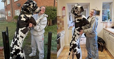 Люди думают, что это лошадь: гигантский пес ростом с человека удивляет прохожих