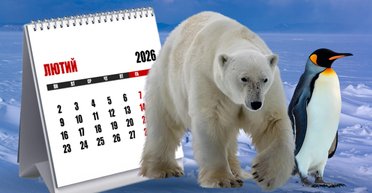 "Невидимий" найбільший наземний хижак: білий ведмідь носить отруту, здатну вбити людину