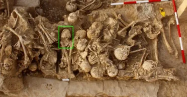 Конусообразный череп рассказал кровавую историю: что произошло 6200 лет назад (фото)