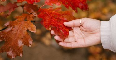 "Одягайтеся щільніше": 20 листопада Україну накриє холод та сильний вітер, – Діденко