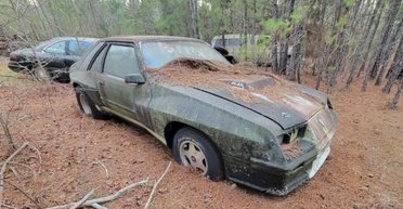 Раритетный спорткар Ford Mustang McLaren 30 лет простоял среди леса (видео)