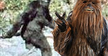 Гуляет по барам: в соцсетях охотятся на женщину, которая похитила обувь "снежного человека" (фото)