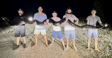 "Спіймати монстра": мисливці об'єдналися для боротьби з величезним 90-кілограмовим пітоном