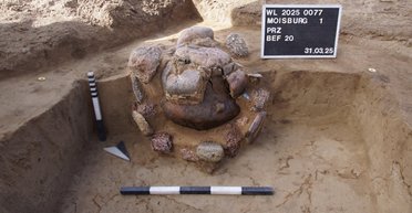 Им тысячи лет: археологи раскопали погребальные урны бронзового века в неповрежденном состоянии (фото)