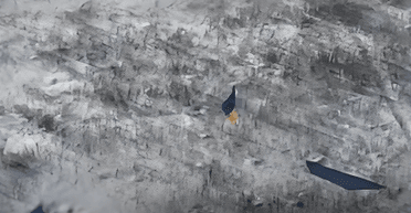 ССО знищили опорні пункти ЗС РФ та встановили український прапор: відео операції