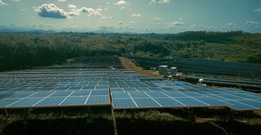 Китайские солнечные панели вдруг стали особенно популярны: их раскупают тысячами