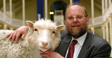 От Долли до исчезающих видов. Каких животных удалось клонировать ученым