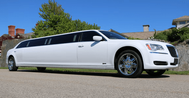 Свято з червоною доріжкою: в Одесі собака приїхав на власний день народження на лімузині (відео)