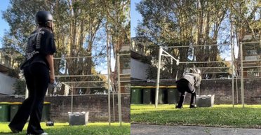 Мешканка Австралії змушена вдягати шолом, щоб розвісити білизну у дворі (відео)