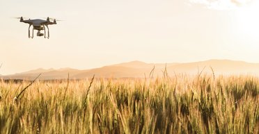 Оторваться от земли. Как аграрии оказались заложниками новых правил использования дронов