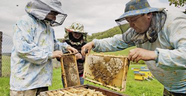 Хватит хлестать мертвую лошадь. Система ПТУ изжила себя