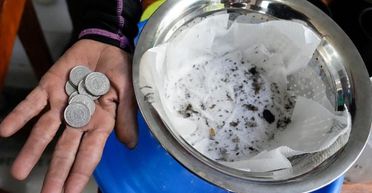 На відомому курорті платять гроші за пійманих комарів: скільки можна заробити (фото)