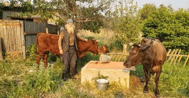 Шел пешком из Донецкой области на Полтавщину: дедушка выбрался из Торского вместе с коровами и собаками