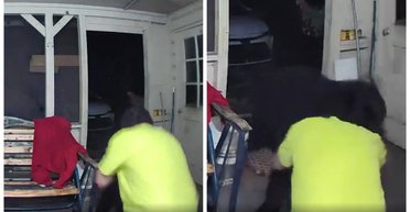 Медведь напал на собаку, и хозяин голыми руками бросился на спасение любимца (видео)