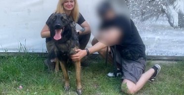 Потерялась в лесу: на Киевщине спасли овчарку бойца Французского легиона (видео)