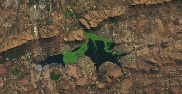 Токсична зелена маса захоплює водосховище у Південній Африці: її видно навіть із космосу